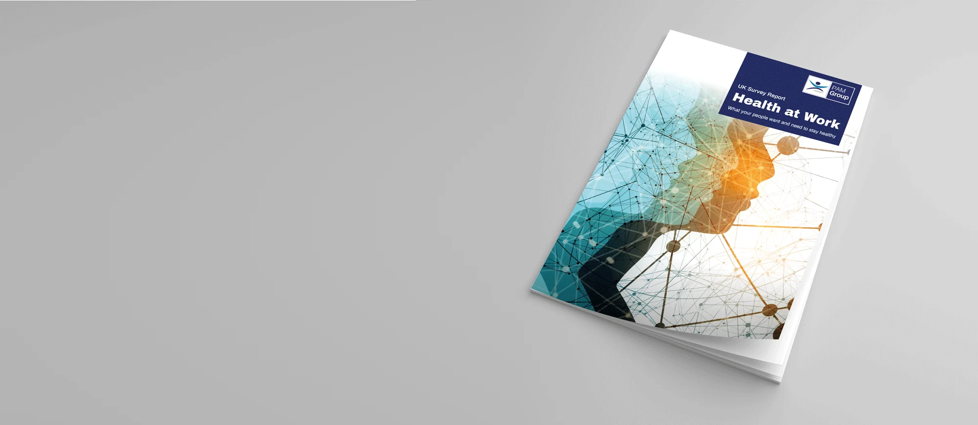 Health at work report